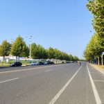 秋叶、秋树、秋路、秋转冬2019100320191003