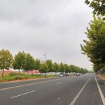 秋叶、秋树、秋路、秋转冬20191005