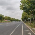 秋叶、秋树、秋路、秋转冬20191006