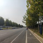 秋叶、秋树、秋路、秋转冬20191009