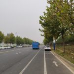 秋叶、秋树、秋路、秋转冬20191011