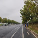 秋叶、秋树、秋路、秋转冬20191012