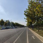 秋叶、秋树、秋路、秋转冬20191015