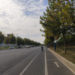 秋叶、秋树、秋路、秋转冬20191016