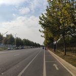 秋叶、秋树、秋路、秋转冬20191017