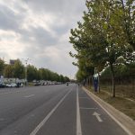 秋叶、秋树、秋路、秋转冬20191018