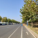 秋叶、秋树、秋路、秋转冬20191019