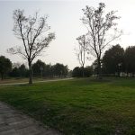 宛陵湖,毫无秋色