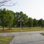 宛陵湖,毫无秋色